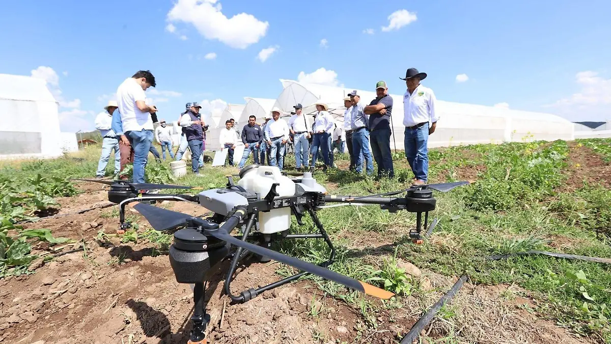 Campesinos drones